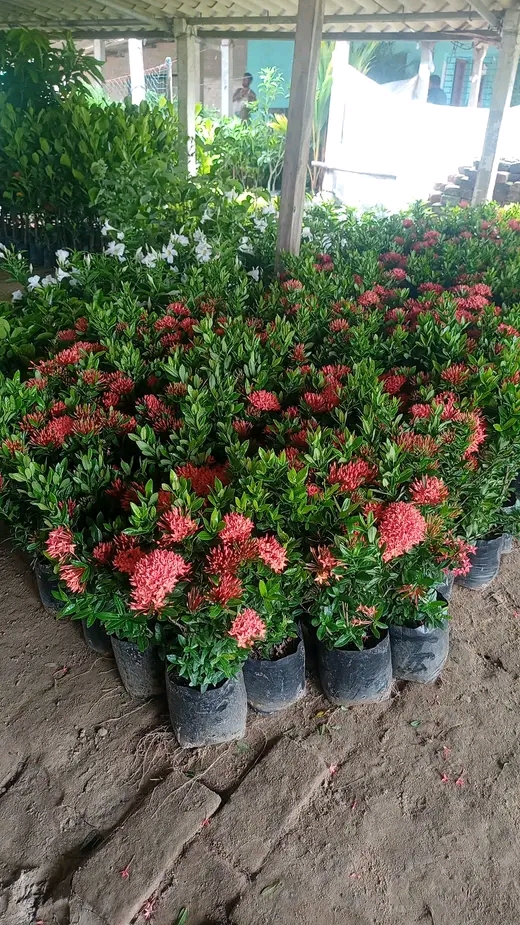 106a7bf0-22d9-428c-a0c6-c78ec5c7a040