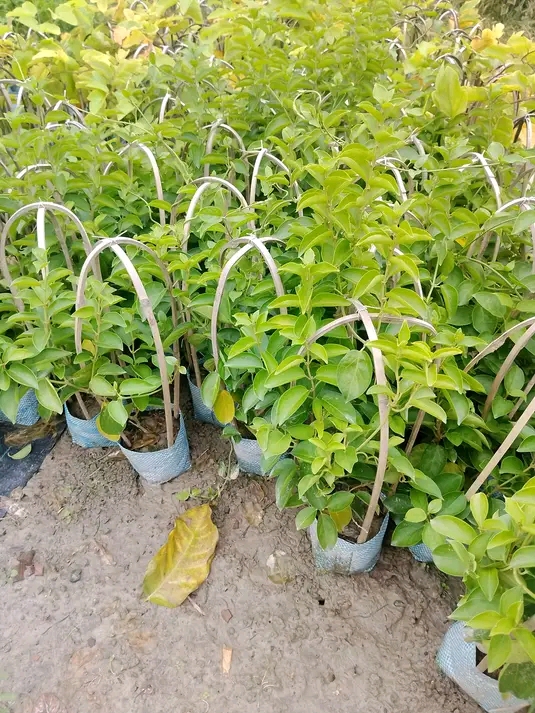 1de014dd-2441-44a2-bdfa-249fc5469e21