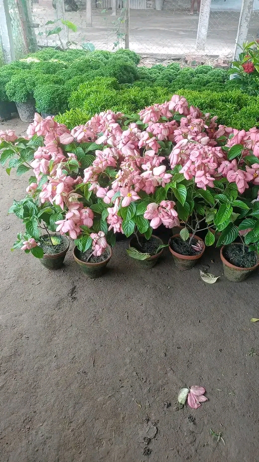 4172a31b-91fb-4c70-afdb-9c06948c2c55