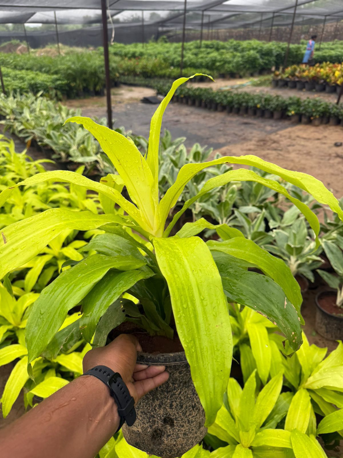 78d68335-5817-4b81-9dea-00b1ee591ce9