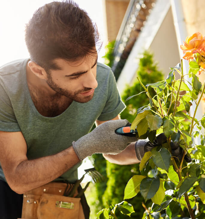 garden development services in gurgaon