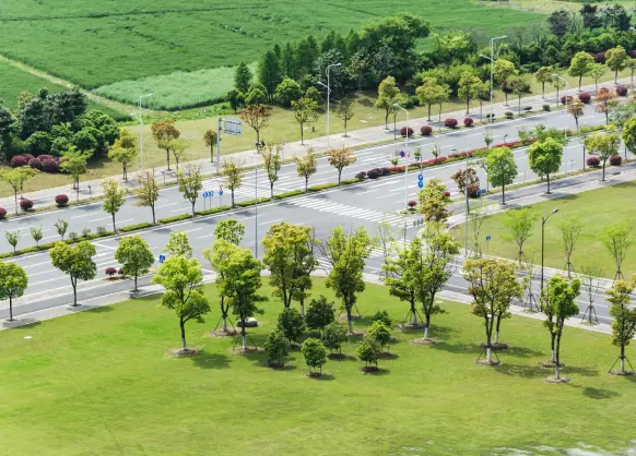 vertical garden maintenance Gurgaon