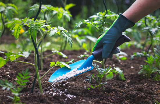 organic fertilizers in gurgaon